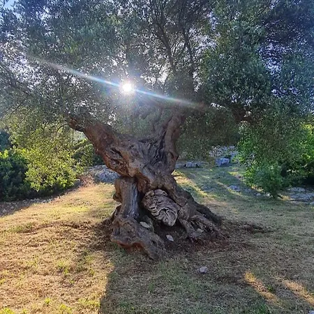 La Loggia Di Apartamento